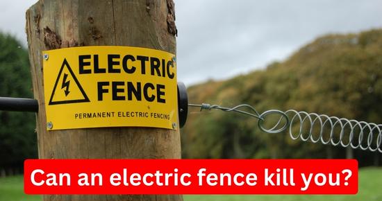 can an electric fence kill you