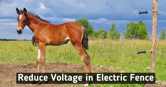low to reduce voltage in electric fence