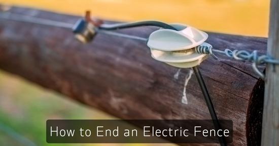 How to end an electric fence