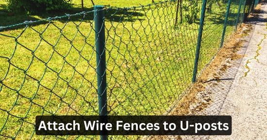 Attach Wire Fence to U-posts