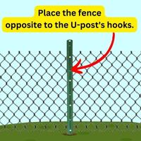 Attach fence wire to U-post