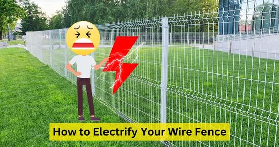 electrify a wire fence