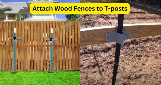 Attach wood fence to T-posts