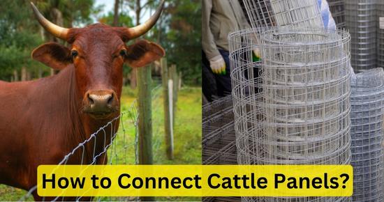 Connect Cattle Panels