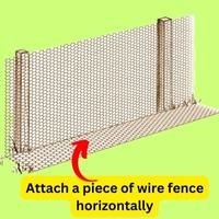 secure chicken wire to ground by attaching a wire fence horizontally