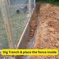 secure chicken wire to ground by digging a channel