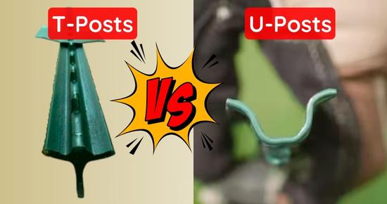 difference between T-Posts & U-posts