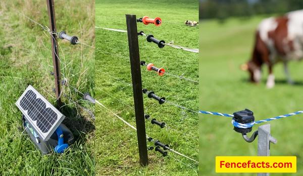 electric fence with t-post and U-post