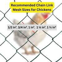 chain link mesh size for chicken fence