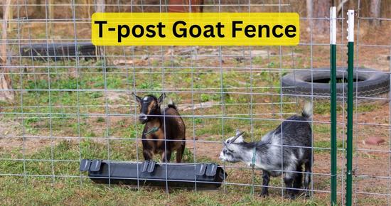 Complete guide to install goat fence with T-posts